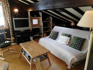 Central Location Cozy 3 BR Flat in Gstaad - Gstaad - 5