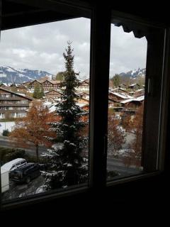 Central Location Cozy 3 BR Flat in Gstaad - Gstaad - 8