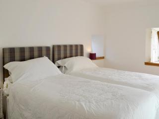 Shedend - Kingston - 2