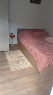 Lucyana home's - Bucharest - 5