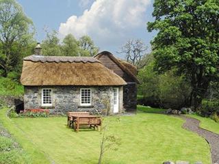 Forget Me Not - Skkz - Dalmellington - 0