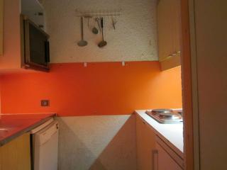 Appartement cosy à Plagne Village avec accès direct aux pistes, terrasse exposée sud, animaux acceptés - FR-1-351-22 - La Plagne - 1