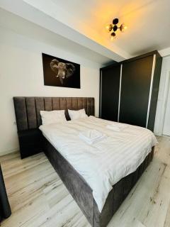 Thyon Apartments - Sebeş - 9
