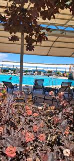 Студия в ЦО Радуга Вест - 1