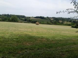 Little Greenwood Shepherd Hut - Sleeps 2 - 1