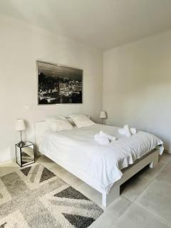Appartement d'exception avec jacuzzi 160m2 - 2