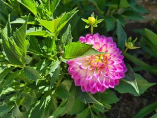 Kêr Neizh Breizh - Gîtes de Charme - Le Petit Châtelier - 4