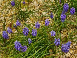 Kêr Neizh Breizh - Gîtes de Charme - Le Petit Châtelier - 5