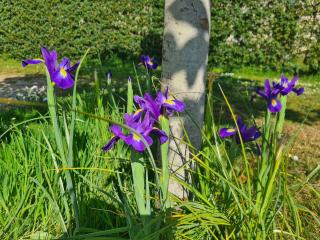 Kêr Neizh Breizh - Gîtes de Charme - Le Petit Châtelier - 6