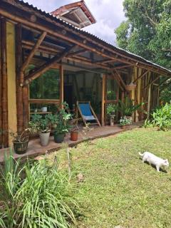 Casa BAMBÚ, enjoy nature - - 9