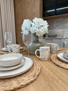 Apartament nad Wisłą, 54 m2 , klimatyzacja, bezpłatny parking - Toruń - 9