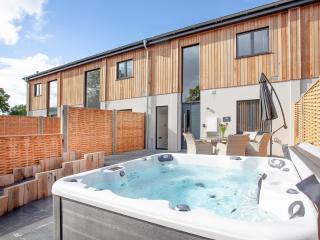 Primrose-Uk34614 - Nether Stowey - 0