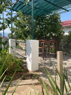 Apartments Goldie - Senj (Segna) - 7