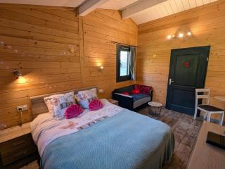 Chalet Jonquille avec Spa dans les Vosges du Sud - FR-1-583-500 - La Vaivre - 0