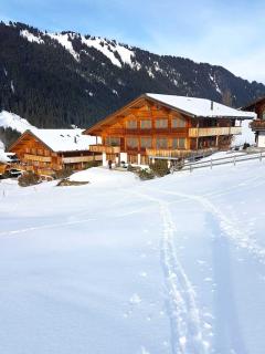 Stunning Gstaad Apartment With Mountain Views - 9