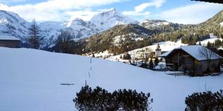 Stunning Gstaad Apartment With Mountain Views - 7