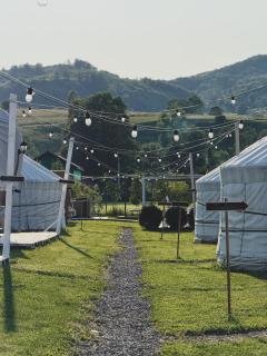 Glamping Spiritul Zimbrului - Vama Buzăului - 8