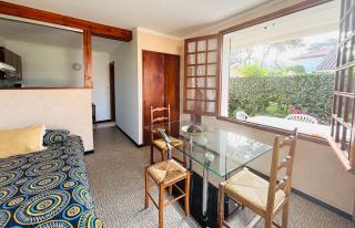 Studio sud à 300m des plages - Mimizan - 1
