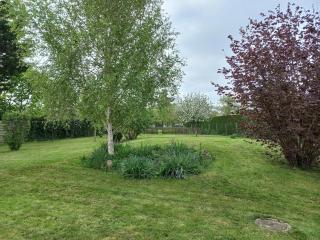 3 bedroom house with garden - - 7
