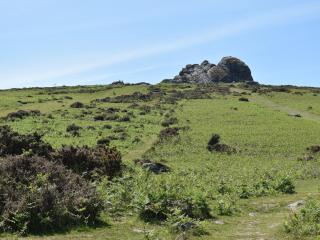 Beech Tree Cottage At Blackaton Manor Farm - Widecombe in the Moor - 7