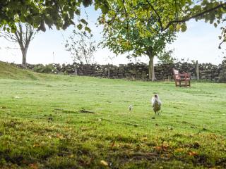 York Apartment - Commondale - 9