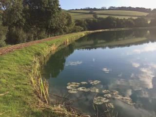 Kingfisher - 30788 - Swimbridge - 2