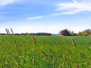 Holiday Home Agny - 2-2km from the sea by Interhome - Åkirkeby - 9