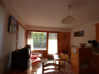 Lumineux 3 pièces - 46m² pour 6 personnes, proche télécabines - FR-1-458-233 - Le Grand-Bornand - 8
