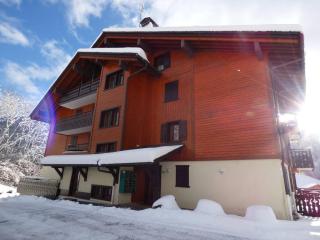 Lumineux 3 pièces - 46m² pour 6 personnes, proche télécabines - FR-1-458-233 - 5
