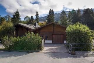 Cozy Apt Overlooking the Gstaad Mountain Area - Schönried - 0