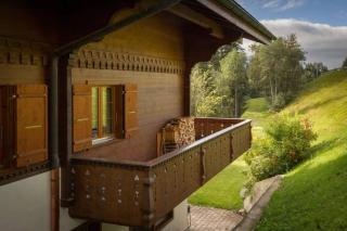 Cozy Apt Overlooking the Gstaad Mountain Area - Schönried - 9