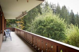 Cozy Apt Overlooking the Gstaad Mountain Area - Schönried - 6