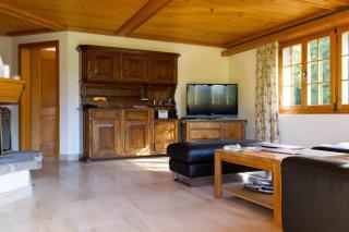 Cozy Apt Overlooking the Gstaad Mountain Area - 4