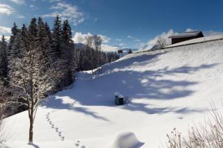 Cozy Apt Overlooking the Gstaad Mountain Area - 7