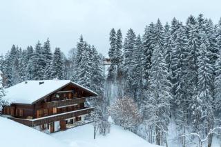 Cozy Apt Overlooking the Gstaad Mountain Area - 9