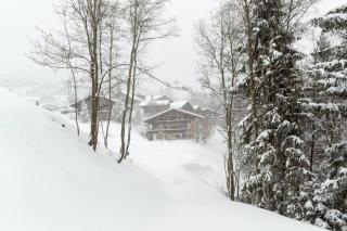 Cozy Apt Overlooking the Gstaad Mountain Area - 8