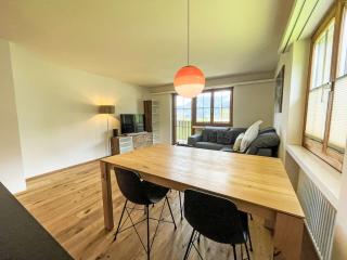 Apartment La Siala Apt-63 by Interhome - Falera - 8
