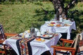 Pamoja Migration Camp - Serengeti - 7