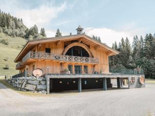 Apartment Fassl 2 by Interhome - Saalbach-Hinterglemm - 0