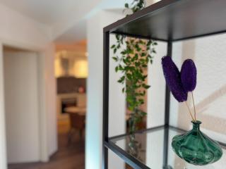 Exklusives 3 Zi Design Apartment in FR-Altstadt - Friburgo em Brisgóvia - 9
