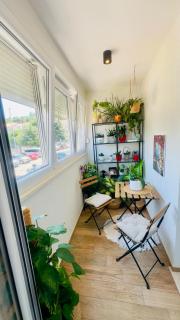 Apartman Noa - 7