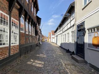 Holiday Home Constance - 23km from the sea by Interhome - Ribe - 6