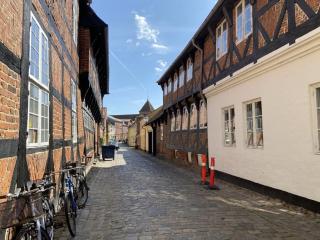 Holiday Home Constance - 23km from the sea by Interhome - Ribe - 5