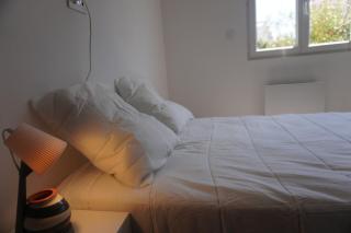 Le Dauphin du port - 2