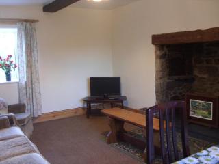 East Hook Holiday Cottages - Daisy Cottage - Okehampton - 7