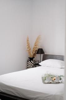 Aerope Inviting Apartment - Ligaria - 8