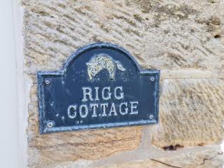 Rigg Cottage, Mount Pleasant - Whitby - 9