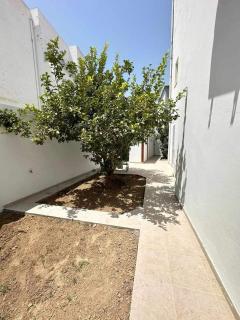 villa meublé - Tunis - 7