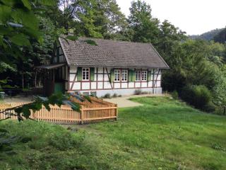 Waldhaus Staufenbergblick in Zorge - Walkenried - 0
