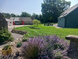Hemma Grove - A Songbird haven - Kilkenny - 0
